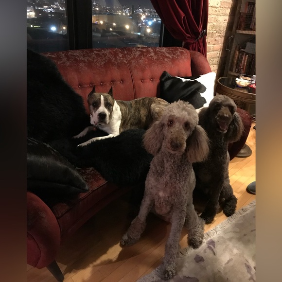 Meet your Posher, Julie - Picture 9 of 9